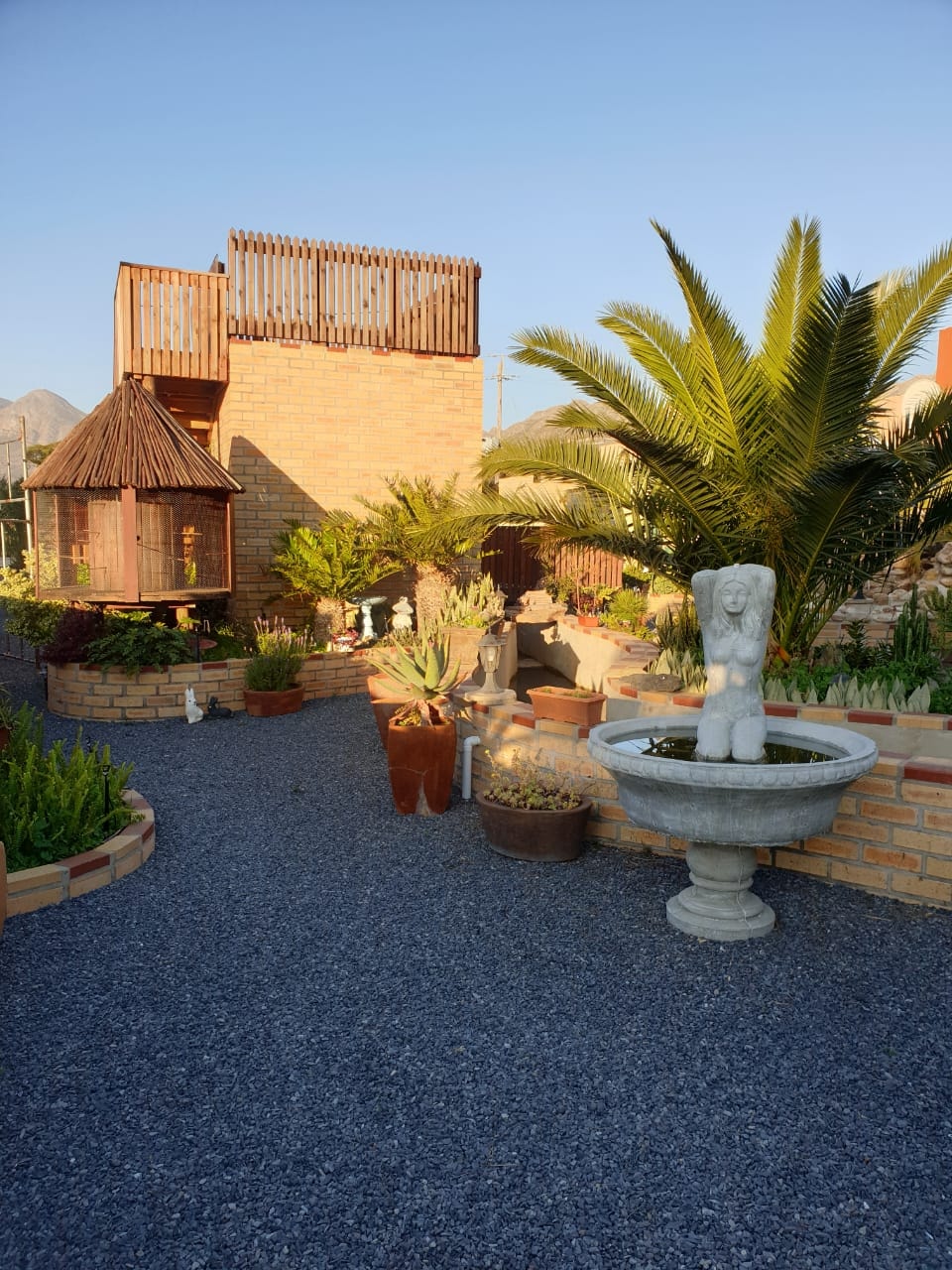 WildWind resort garden with fountain, palm tree, succulents and African-style structures