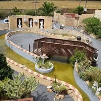 Decorative water feature on the WildWind resort grounds surrounded by greenery